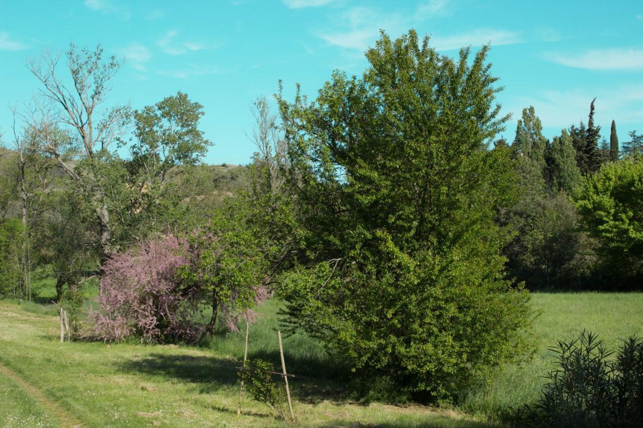 Ma Caravane Dans Les Collines Villeneuve-la-Comptal Esterno foto
